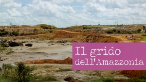 Il grido dell'Amazzonia